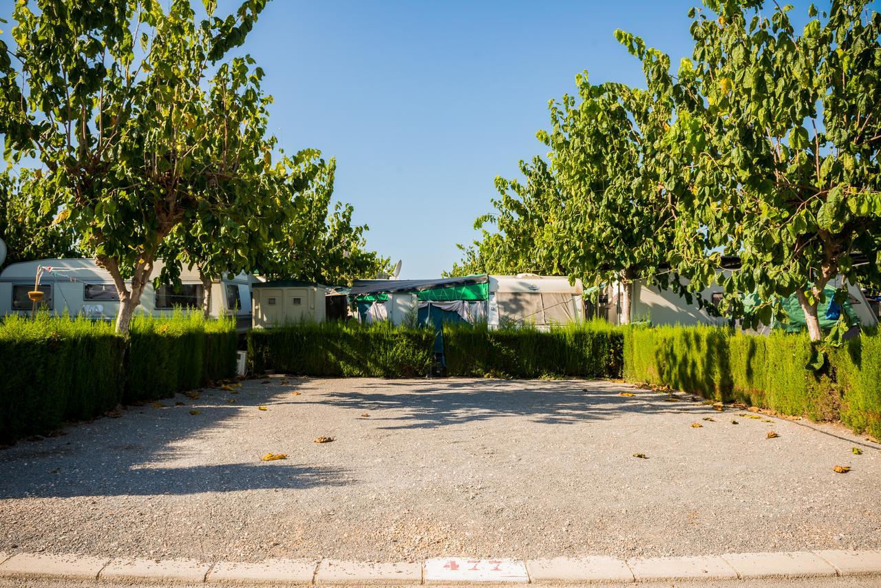 Camping Raco Hotel Бенидорм Стая снимка